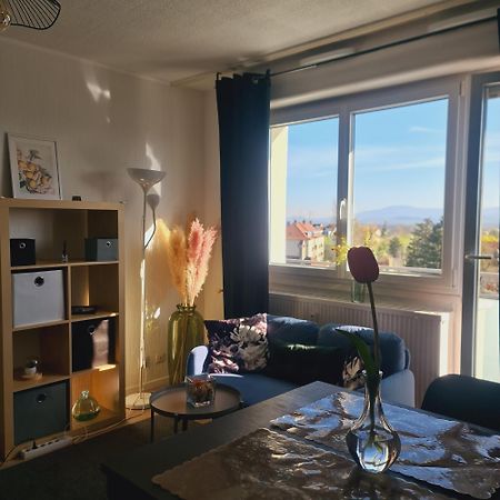 Studio Kaan Avec Terasse 5Mn Basel Airport Saint-Louis  Esterno foto