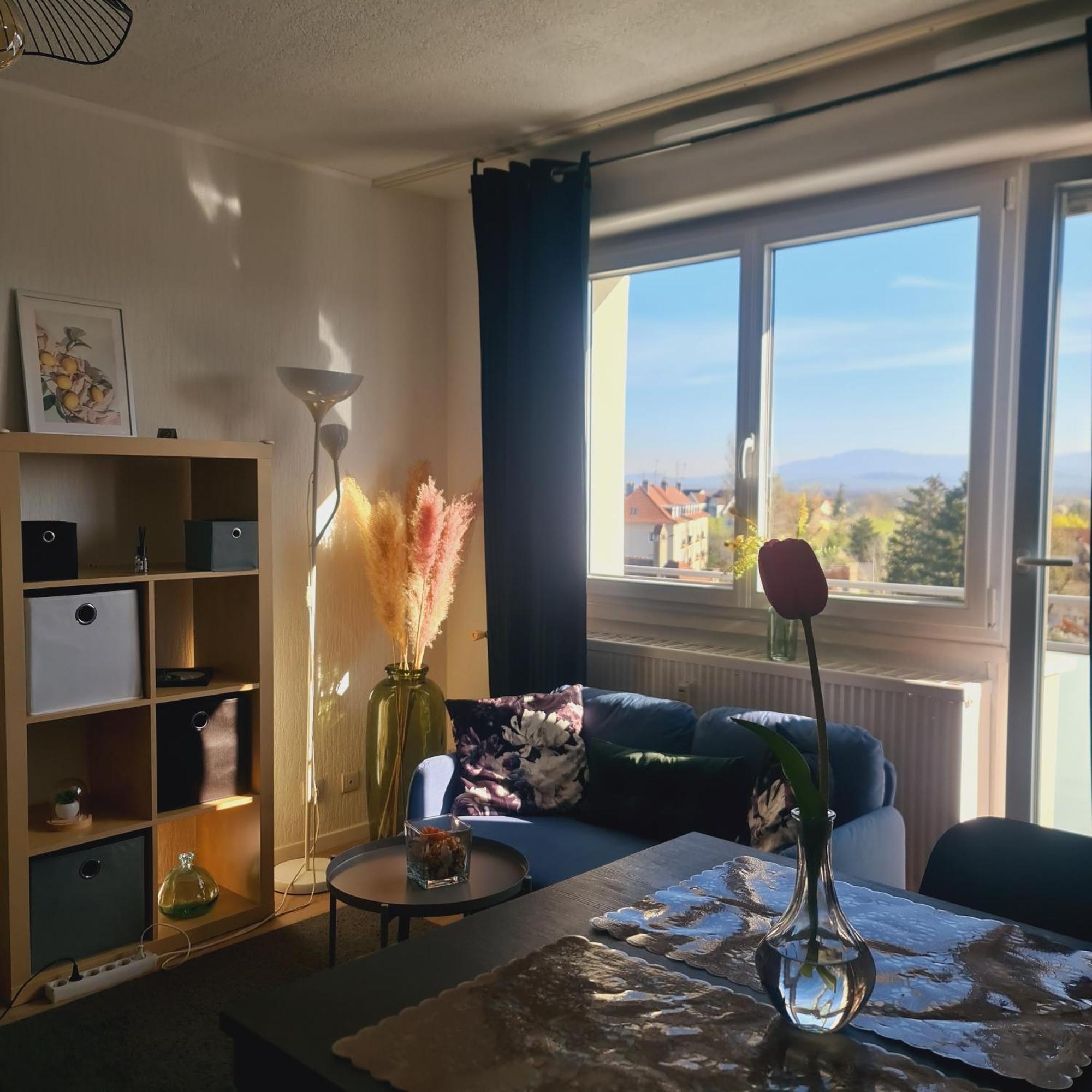 Studio Kaan Avec Terasse 5Mn Basel Airport Saint-Louis  Esterno foto